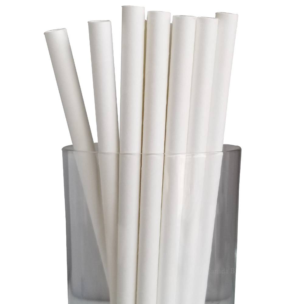 https://www.canadabrown.com/wp-content/uploads/2022/12/7.75-milkshake-white-paper-straws-1.jpg