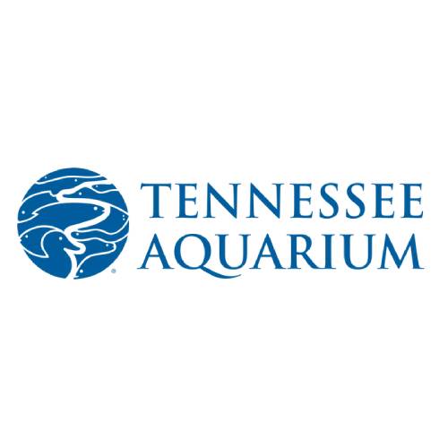 Tennessee Aquarium